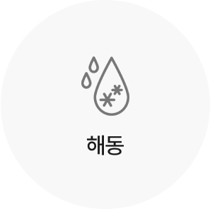 해동